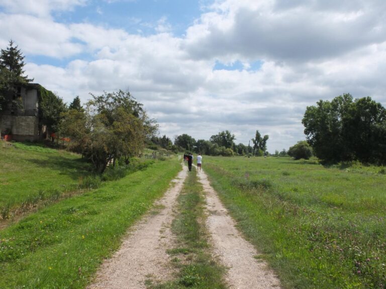 Menschen wandern auf einem Feldweg durch die Elbaue bei Steckby