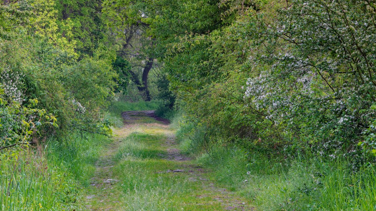 _DSC7321-Bearbeitet - Kopie